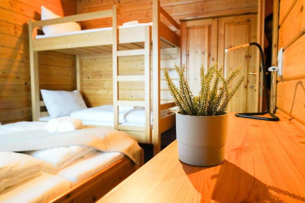 Edelweiss Lodge Lachtal I Self Check-In Bagian luar foto